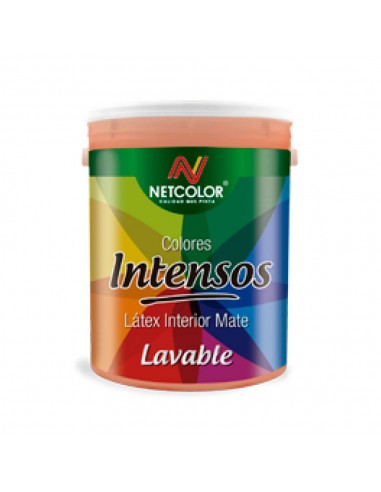 LATEX INTENSOS AGATA X 1LTS