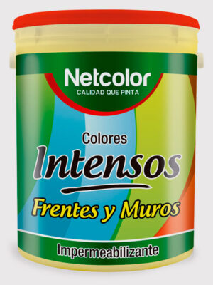 INTENSOS F Y M OCRE X 4LTS